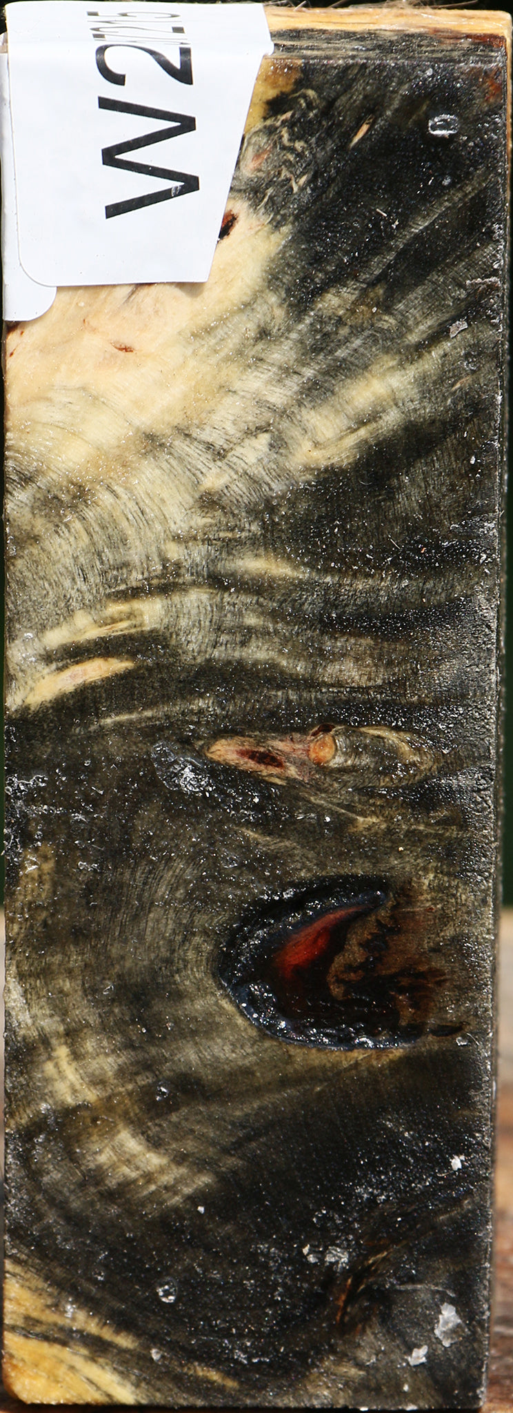 Buckeye Burl Turning Square