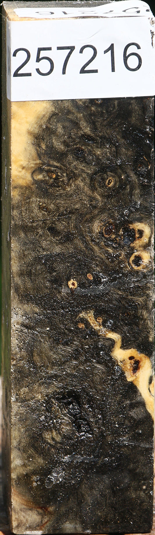 Buckeye Burl Turning Square