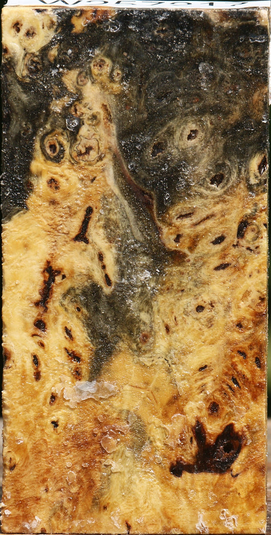 Buckeye Burl Lumber