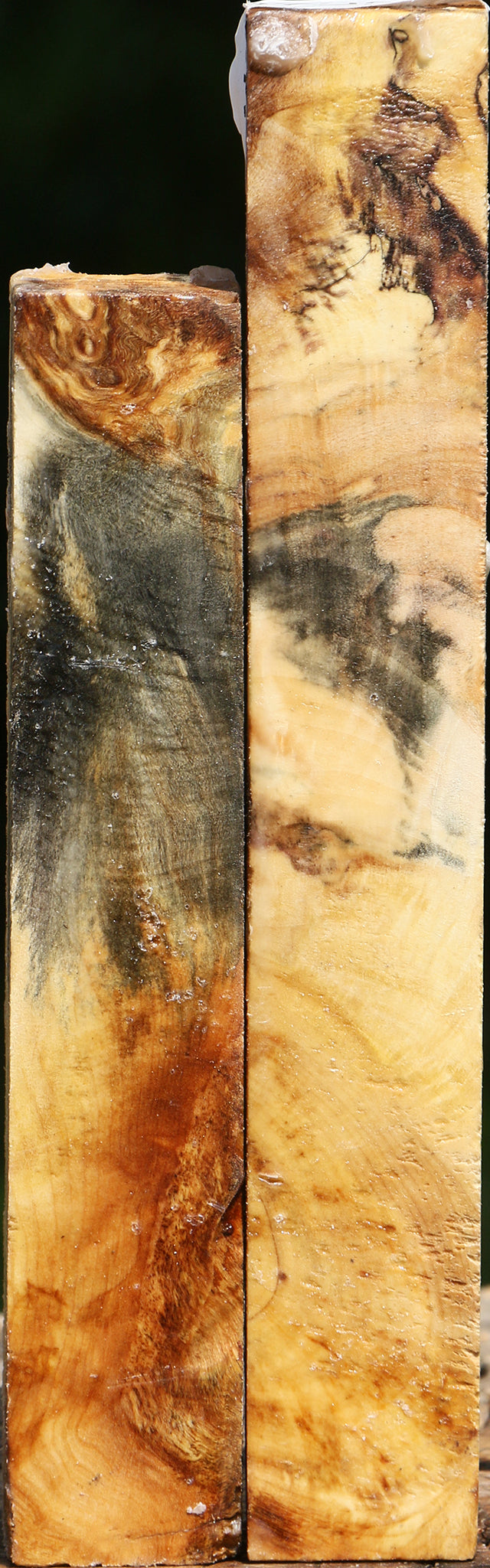 Buckeye Burl Turning Square 2 Pack