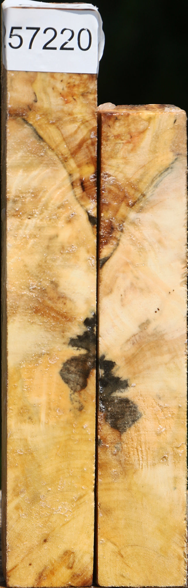 Buckeye Burl Turning Square 2 Pack