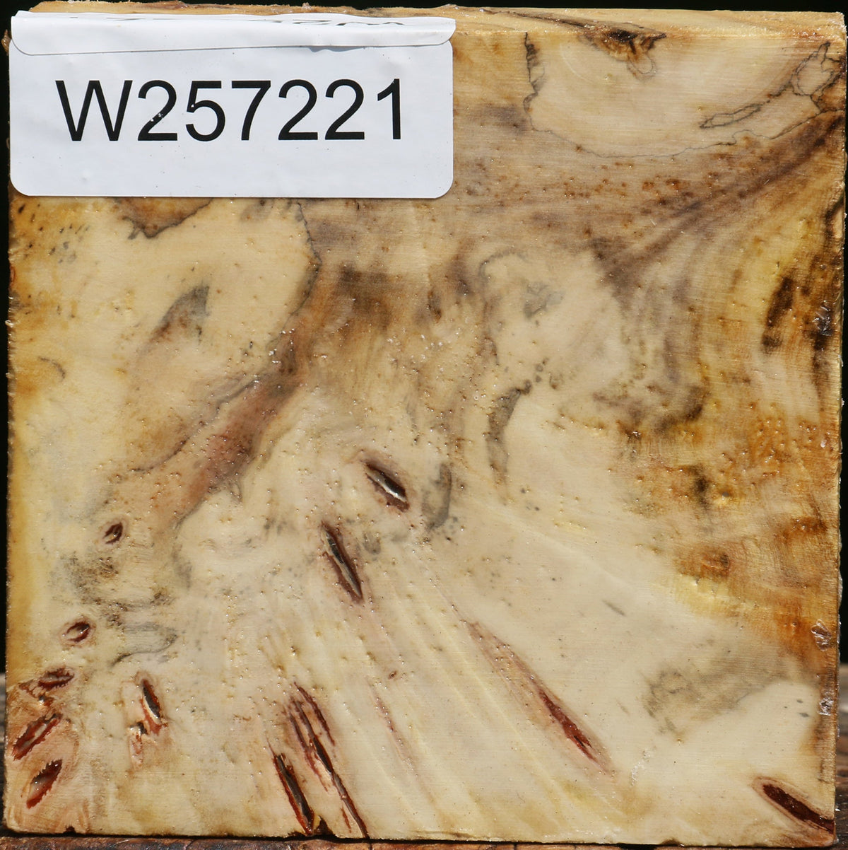 Buckeye Burl Bowl Blank
