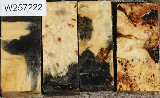 Buckeye Burl Turning Blank Bargain Box