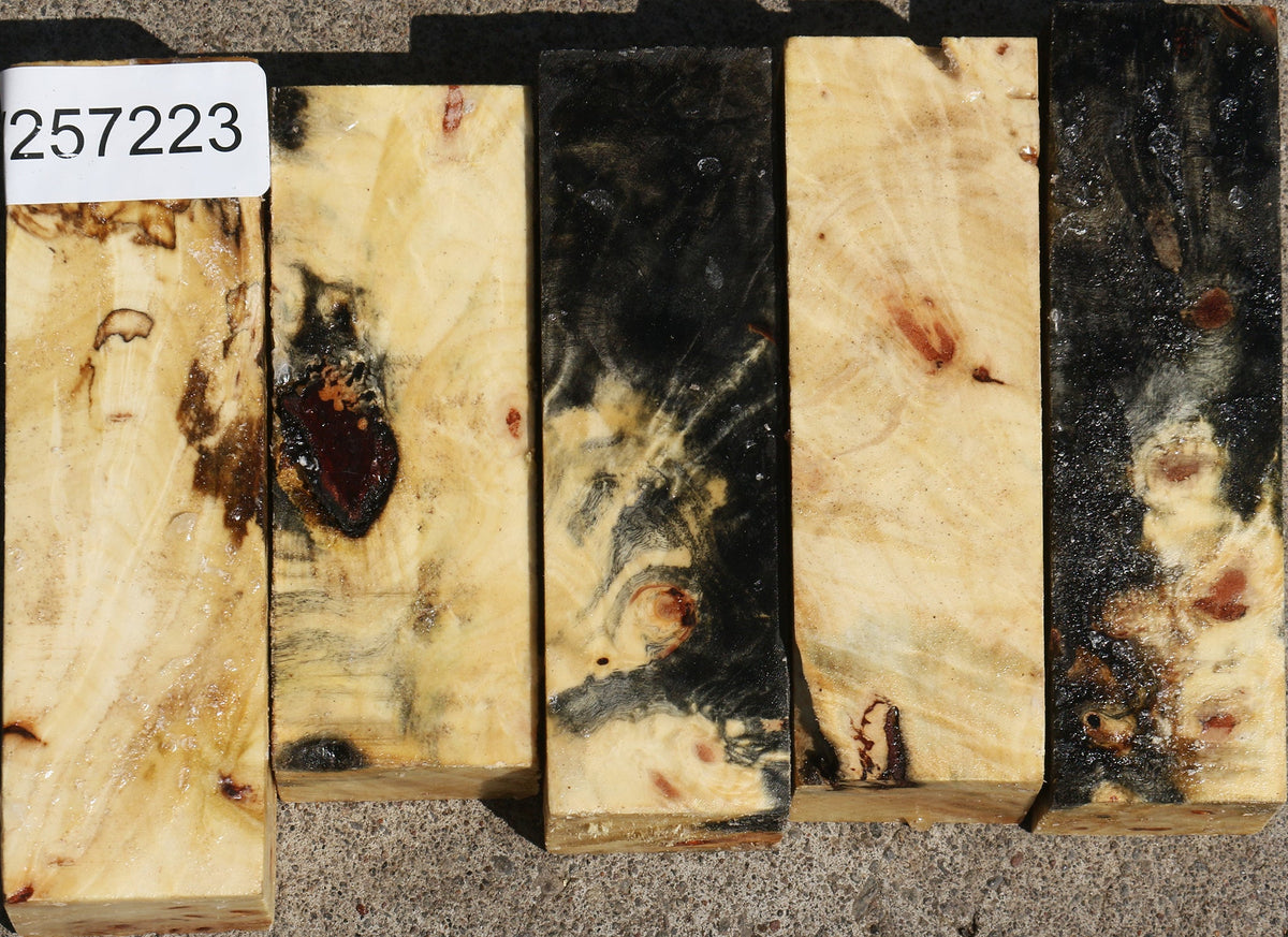Buckeye Burl Turning Blank Bargain Box
