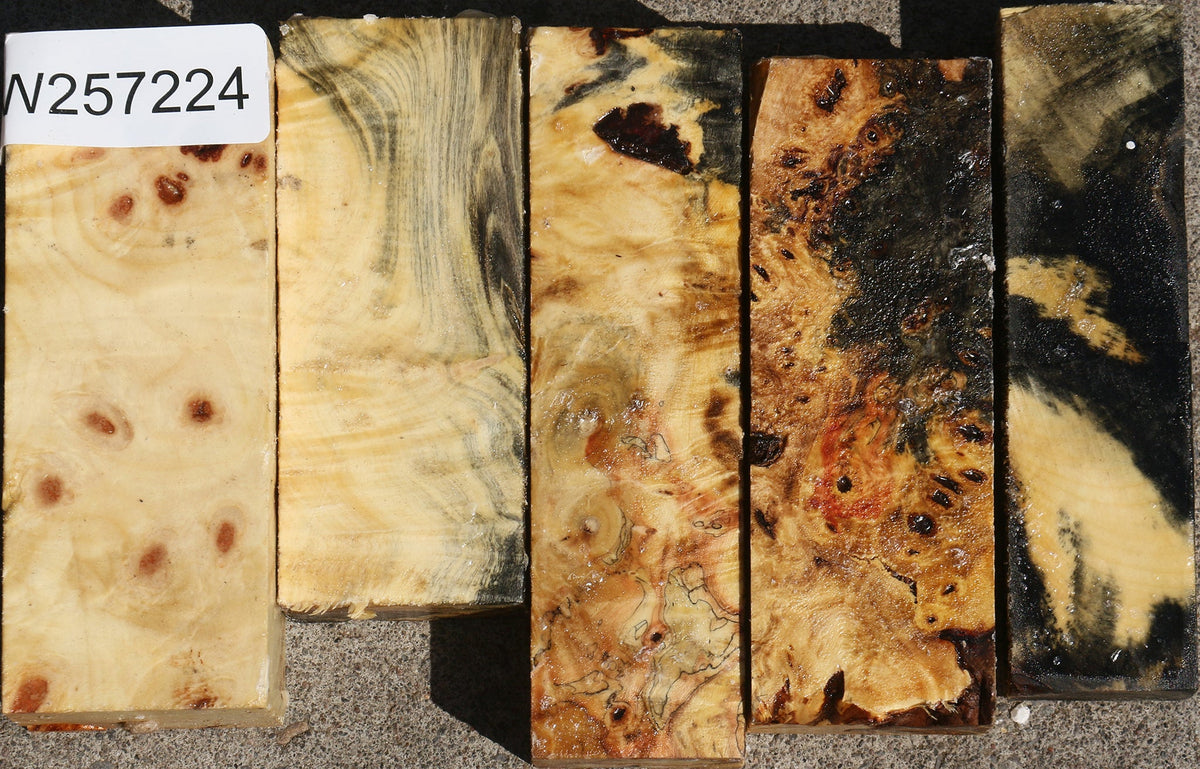 Buckeye Burl Turning Blank Bargain Box