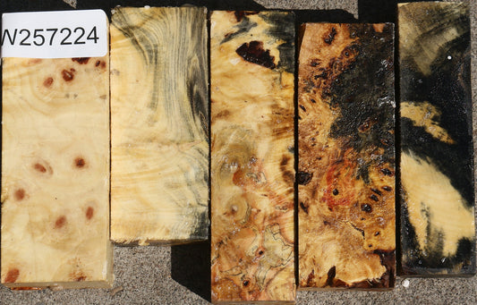 Buckeye Burl Turning Blank Bargain Box