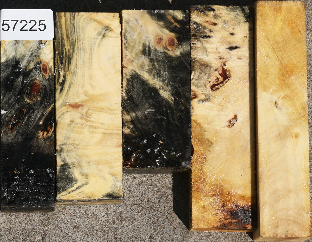Buckeye Burl Turning Blank Bargain Box