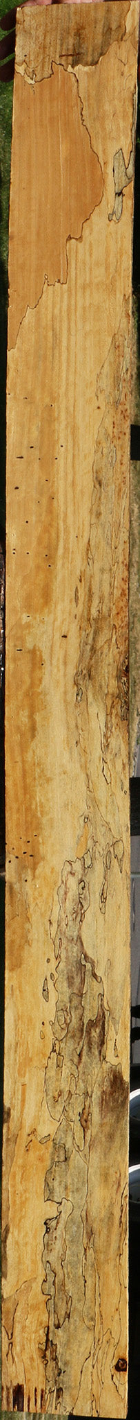 Extra Fancy Spalted Tamarind Lumber