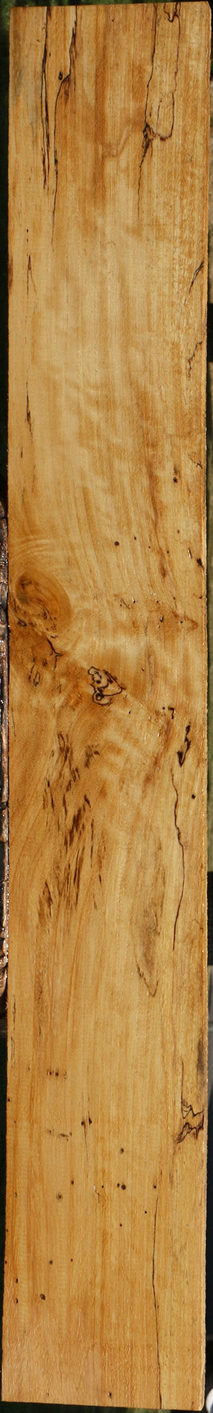 Spalted Tamarind Lumber