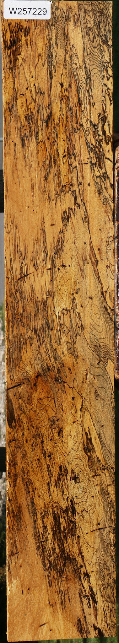 Extra Fancy Spalted Tamarind Lumber