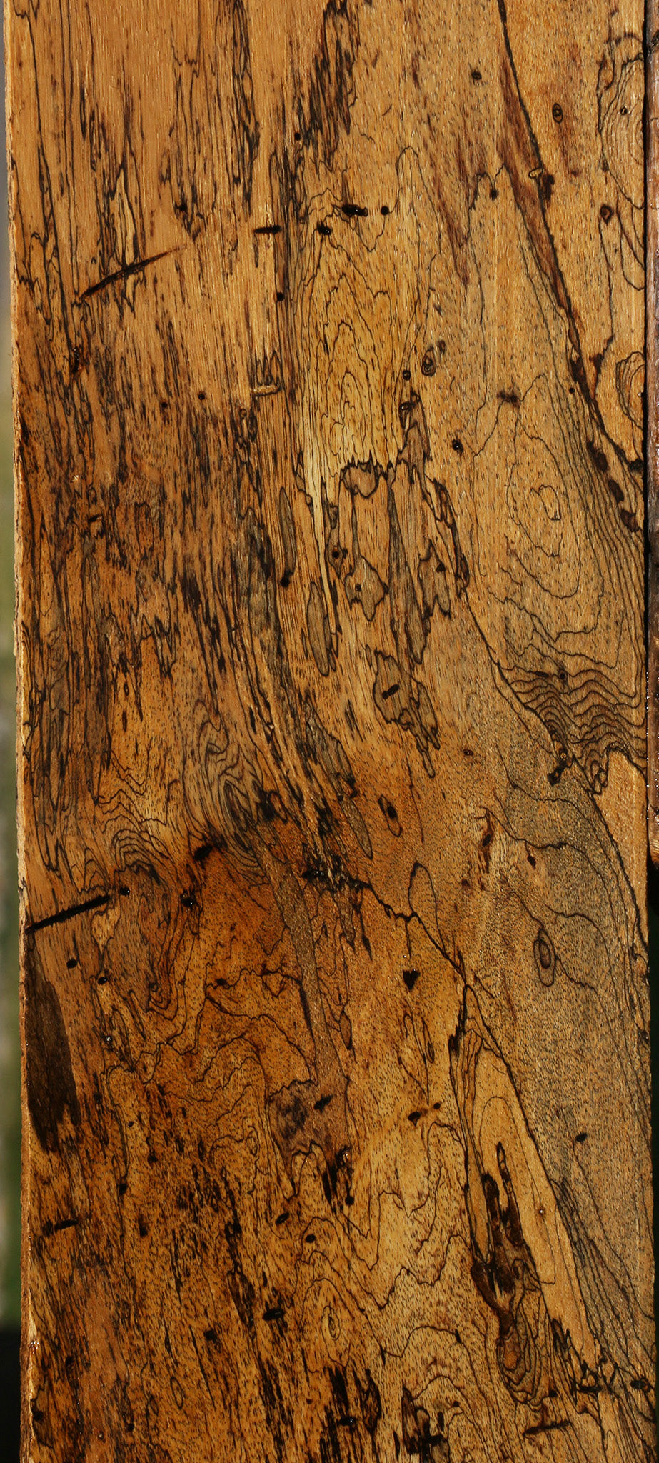 Extra Fancy Spalted Tamarind Lumber