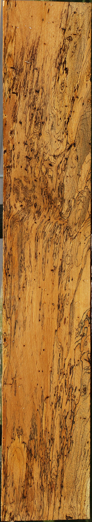 Extra Fancy Spalted Tamarind Lumber