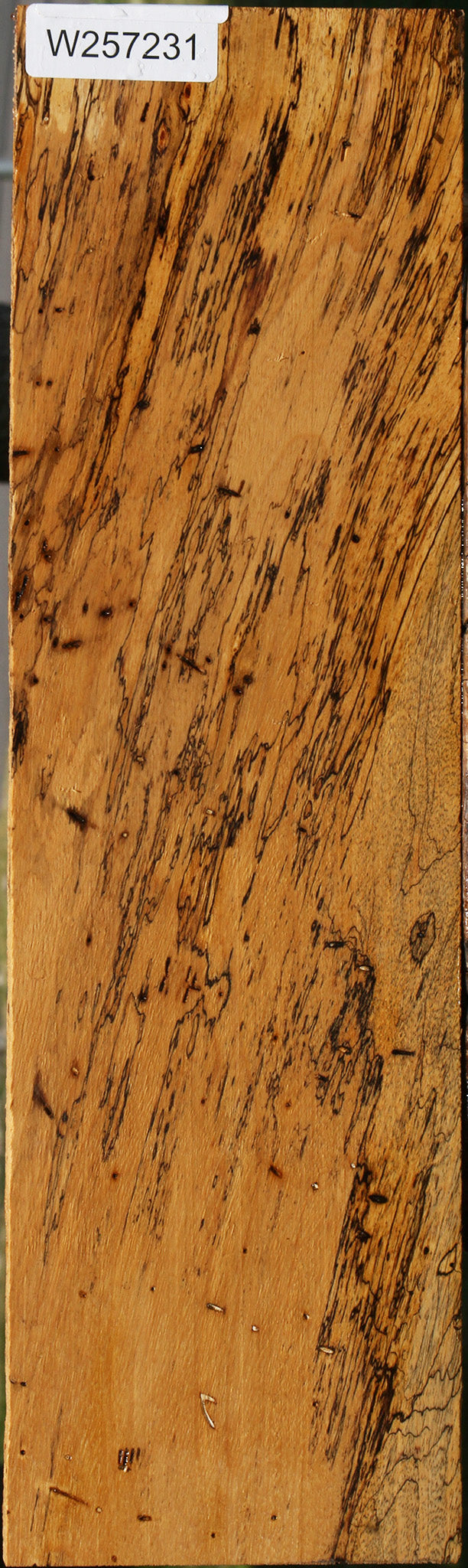 Extra Fancy Spalted Tamarind Lumber