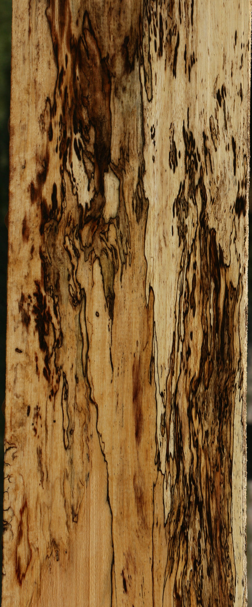 Extra Fancy Spalted Tamarind Lumber