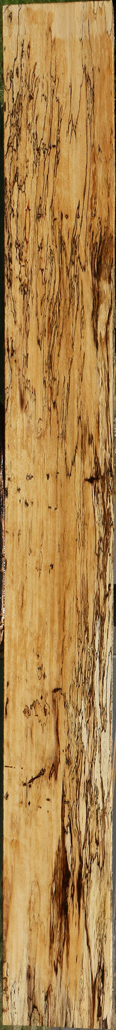 Extra Fancy Spalted Tamarind Lumber