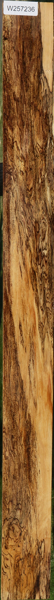 Extra Fancy Spalted Tamarind Lumber