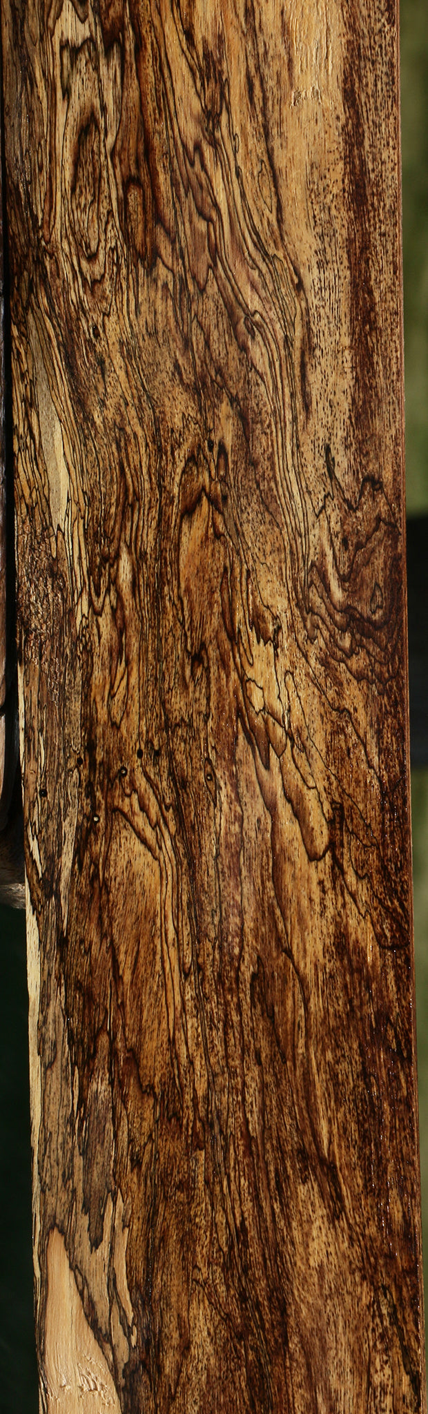 Extra Fancy Spalted Tamarind Lumber