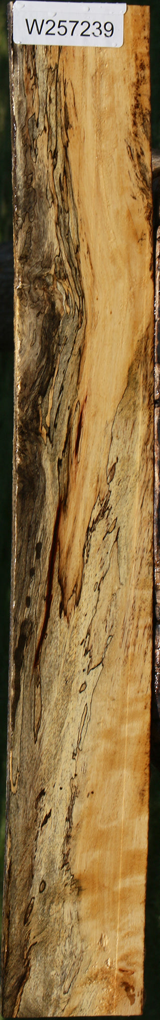 Extra Fancy Spalted Tamarind Lumber