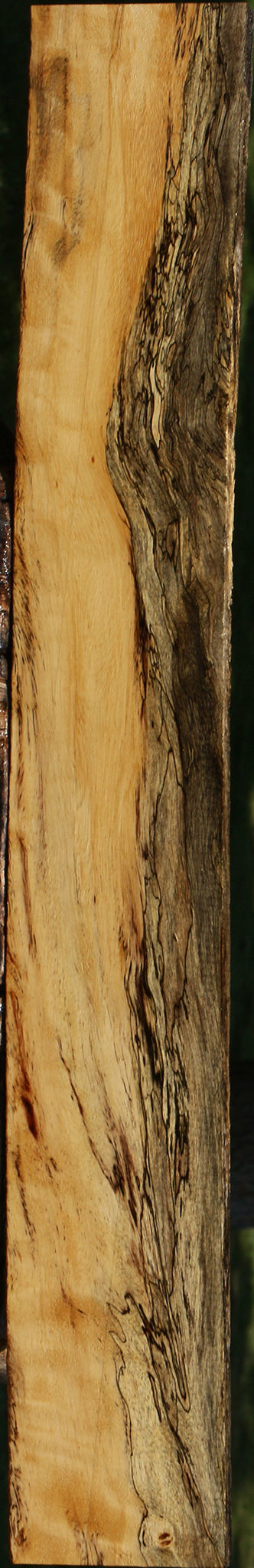 Extra Fancy Spalted Tamarind Lumber