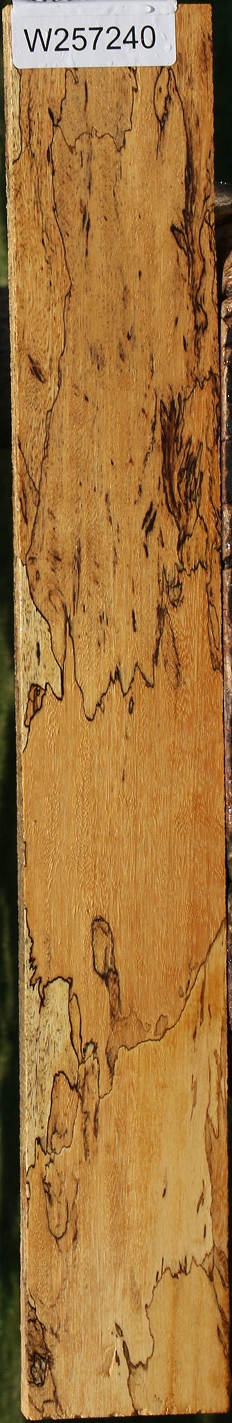 Extra Fancy Spalted Tamarind Lumber
