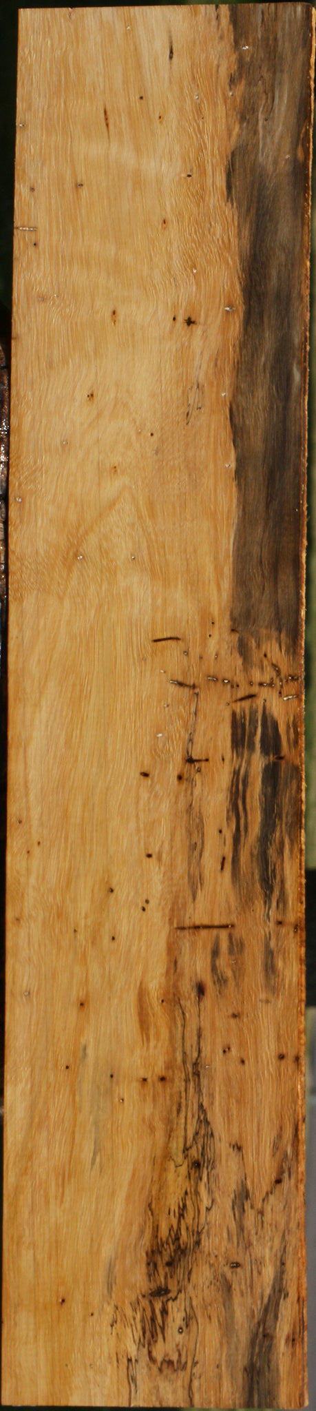 Figured Spalted Tamarind Lumber