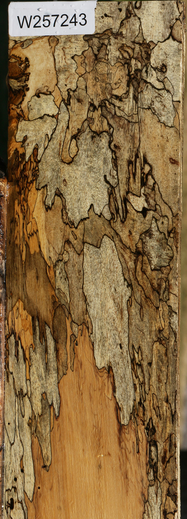 Extra Fancy Spalted Tamarind Lumber