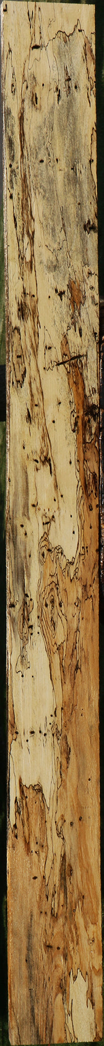 Extra Fancy Spalted Tamarind Lumber