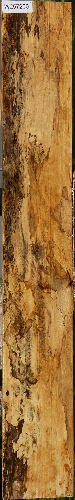 Extra Fancy Spalted Tamarind Lumber
