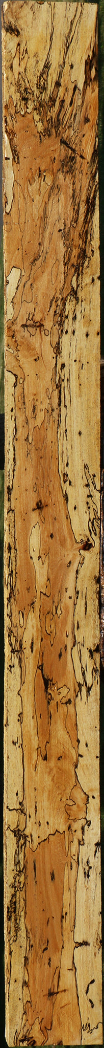 Extra Fancy Spalted Tamarind Lumber