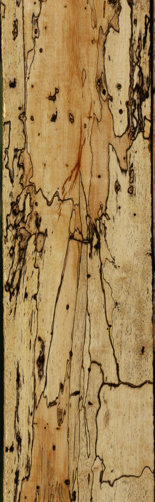 Extra Fancy Spalted Tamarind Lumber
