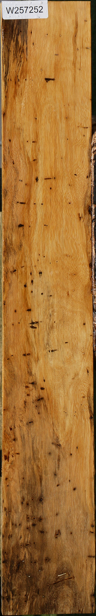 Figured Spalted Tamarind Lumber