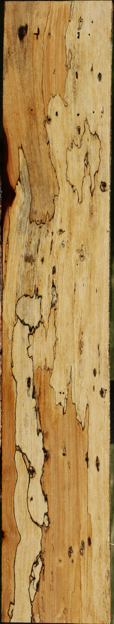 Extra Fancy Spalted Tamarind Lumber