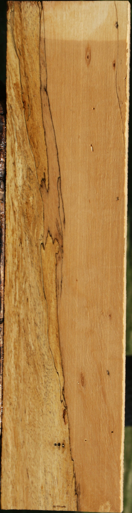 Figured Spalted Tamarind Lumber