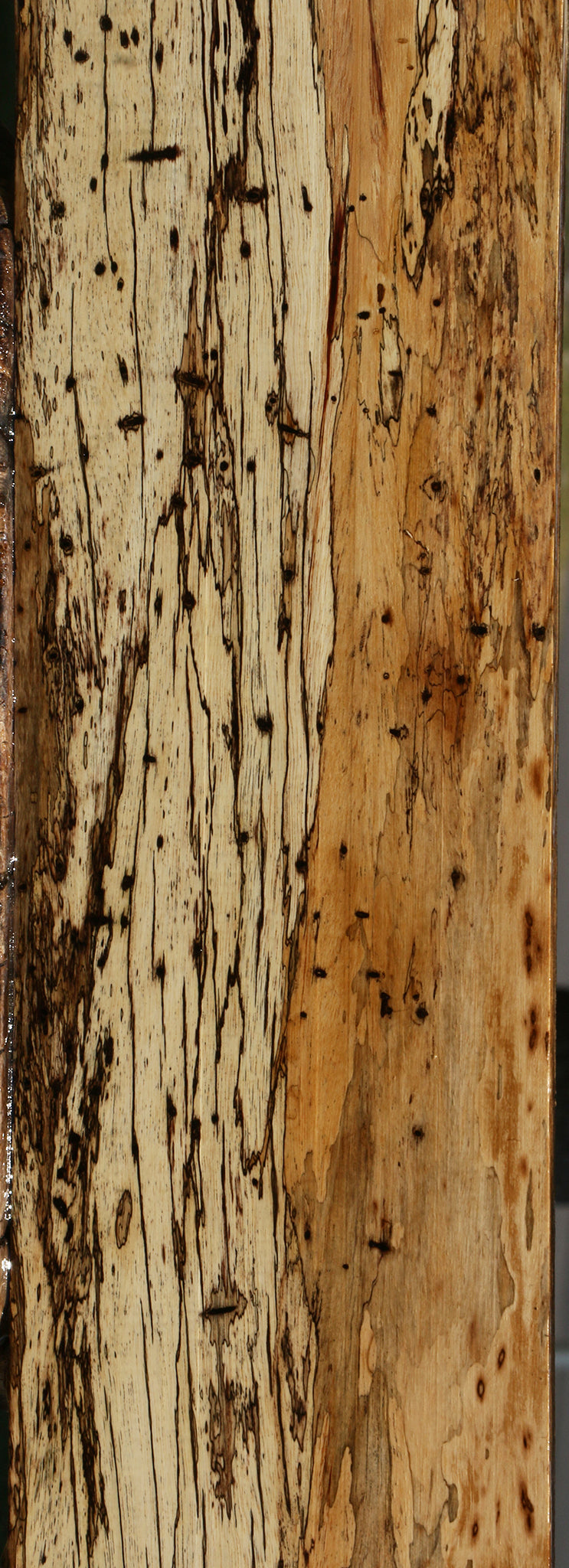 Extra Fancy Spalted Tamarind Lumber