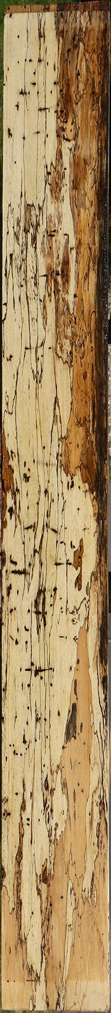Extra Fancy Spalted Tamarind Lumber