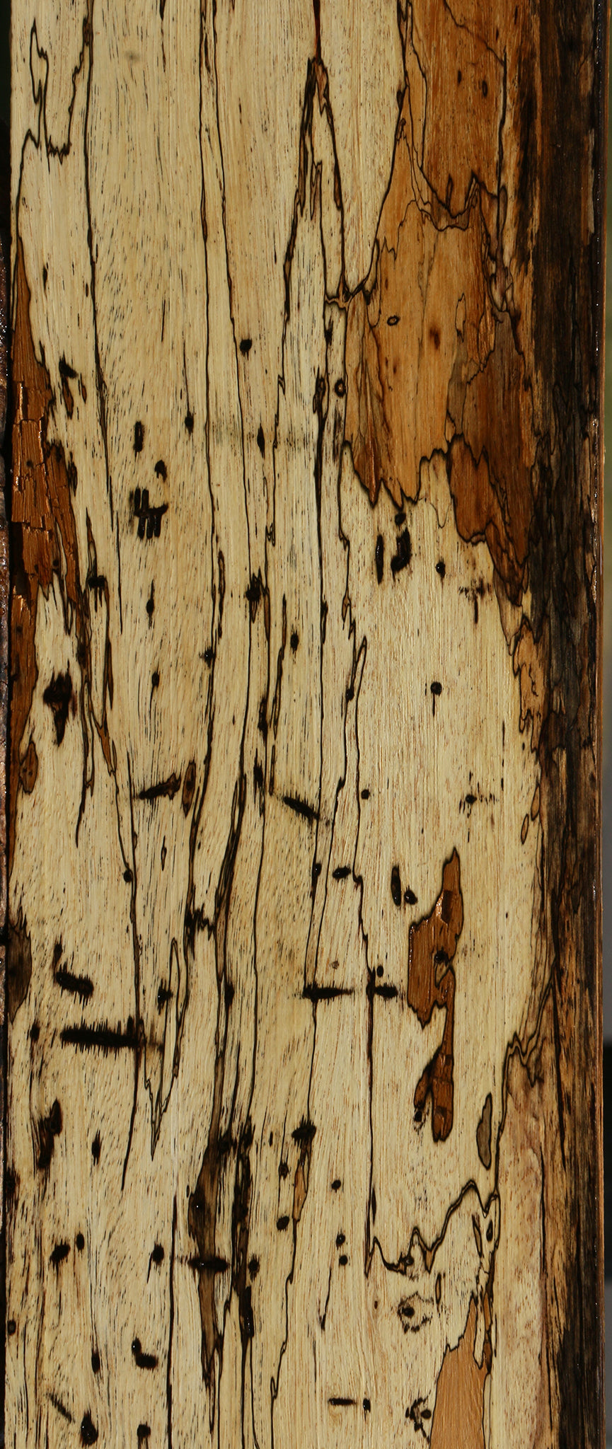 Extra Fancy Spalted Tamarind Lumber