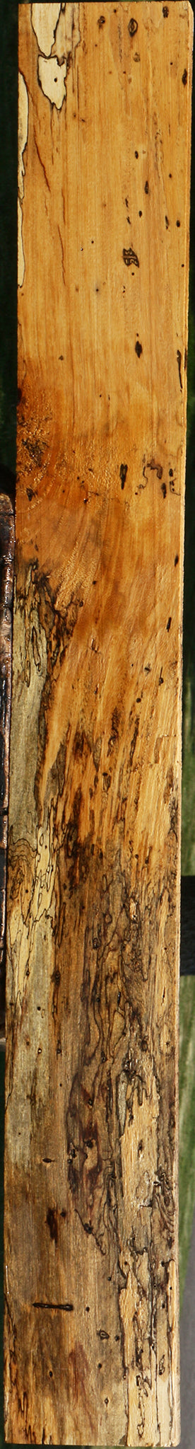Extra Fancy Spalted Tamarind Lumber