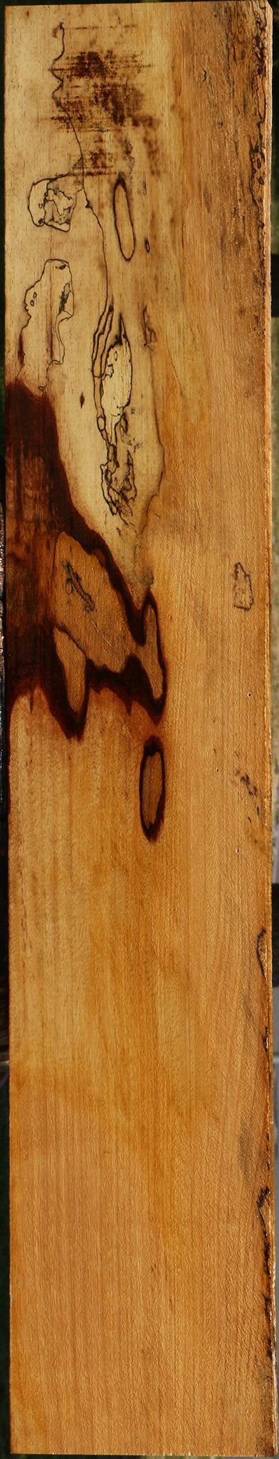 Spalted Tamarind Lumber