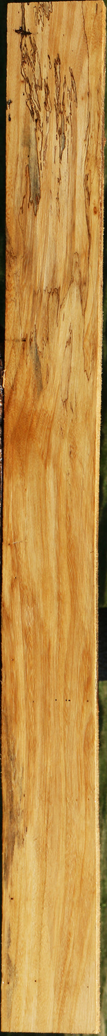 Extra Fancy Spalted Tamarind Lumber