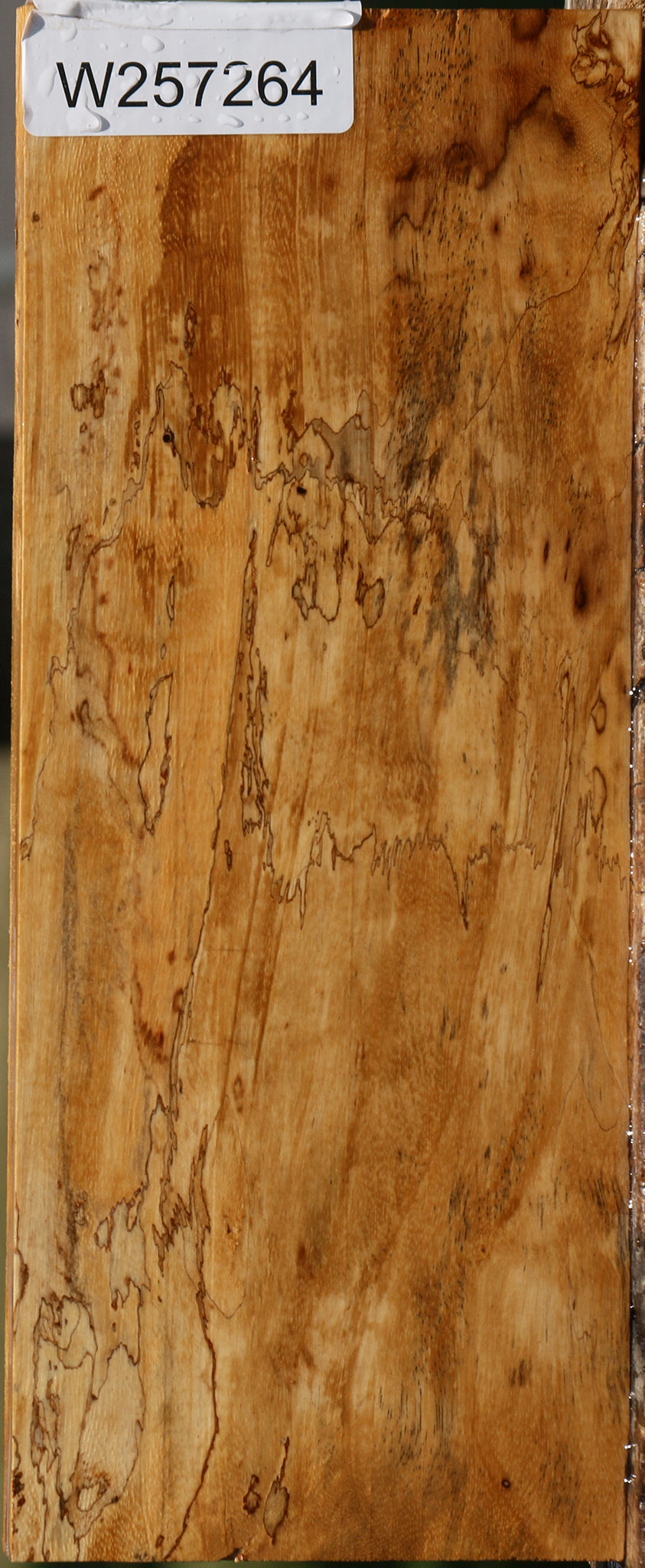 Figured Spalted Tamarind Lumber