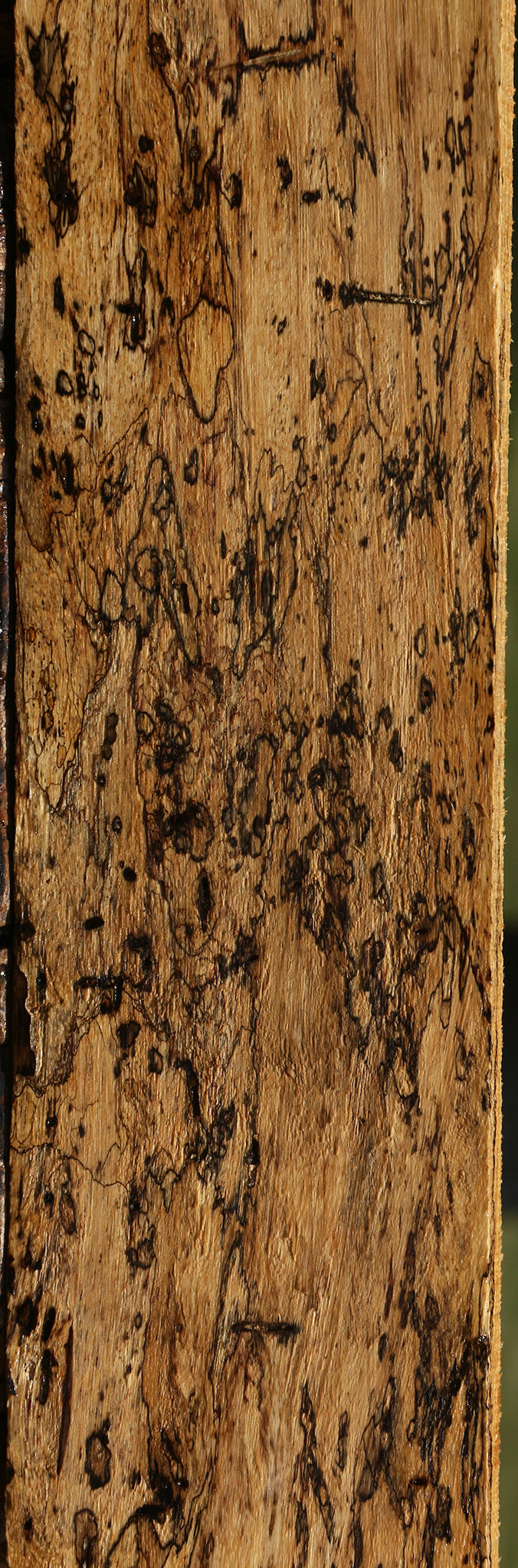 Figured Spalted Tamarind Lumber