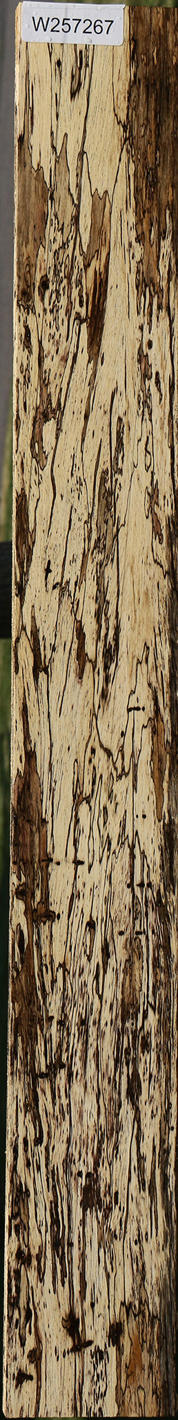 Exhibition Spalted Tamarind Lumber