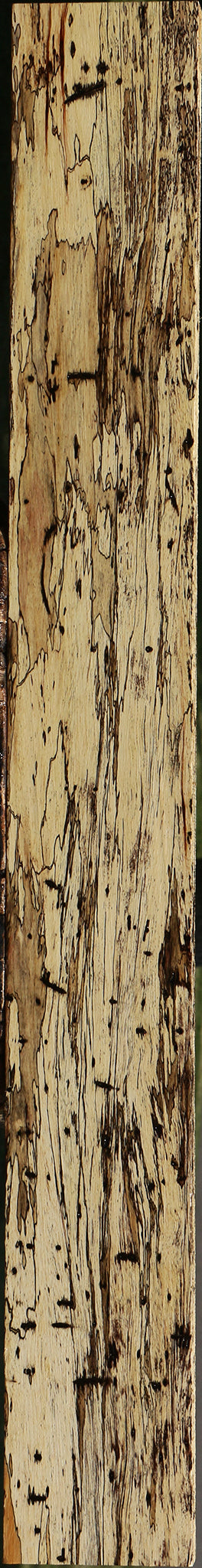 Exhibition Spalted Tamarind Lumber