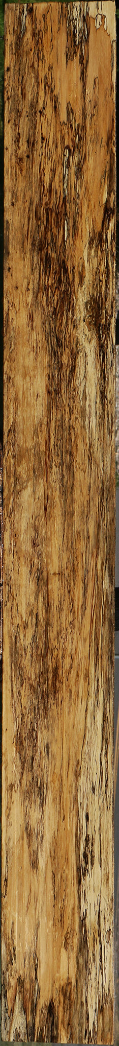 Extra Fancy Spalted Tamarind Lumber