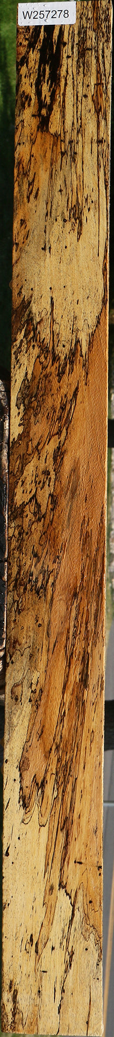Extra Fancy Spalted Tamarind Lumber