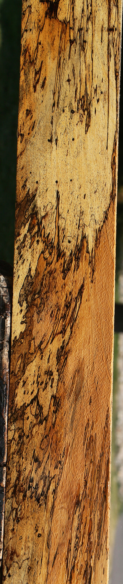 Extra Fancy Spalted Tamarind Lumber