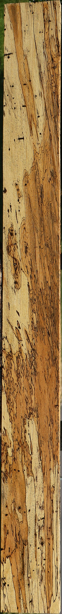 Extra Fancy Spalted Tamarind Lumber