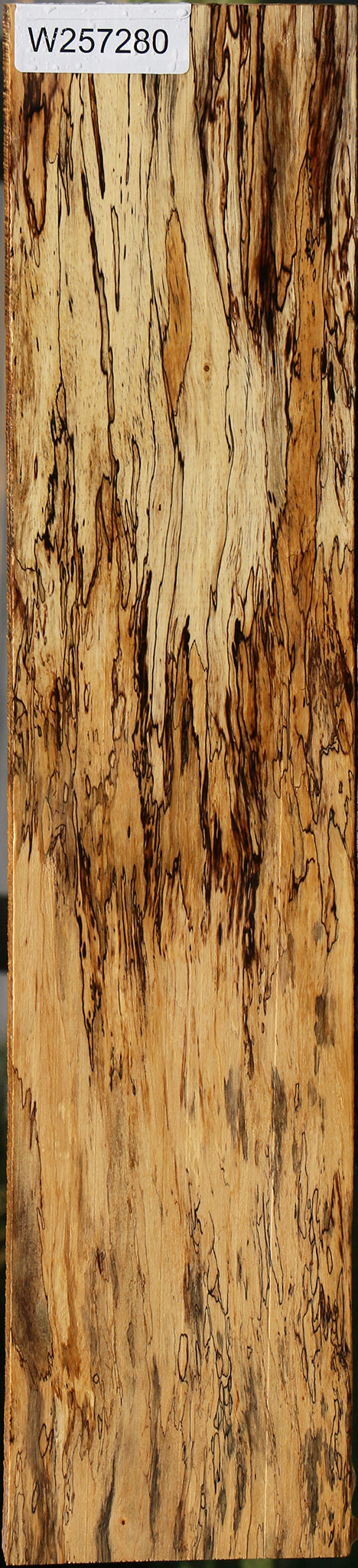 Exhibition Spalted Tamarind Lumber