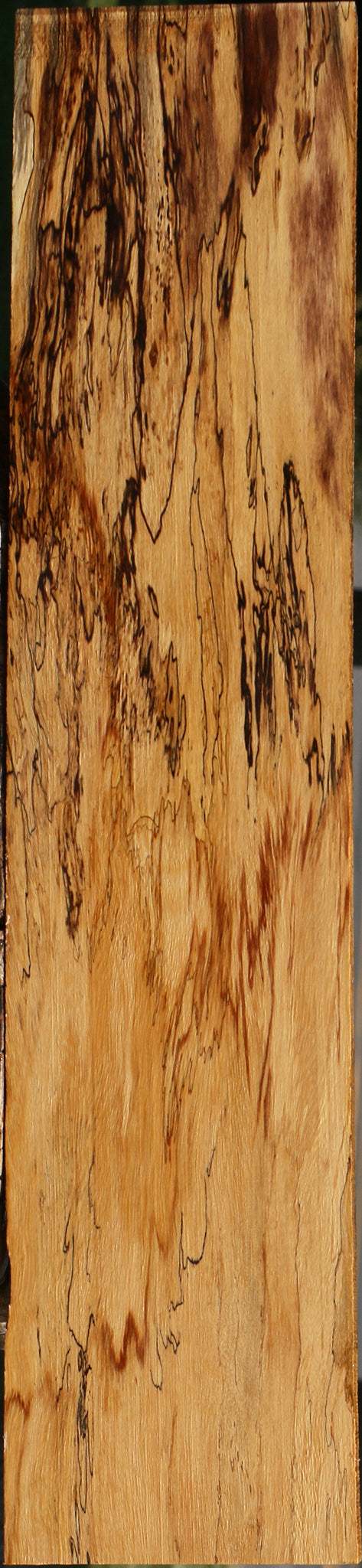 Exhibition Spalted Tamarind Lumber