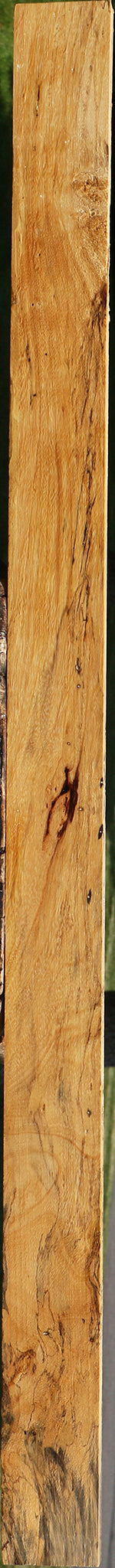 Spalted Tamarind Lumber